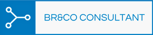 BR&CO Consultant logo